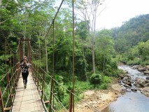 Sinharaja forest